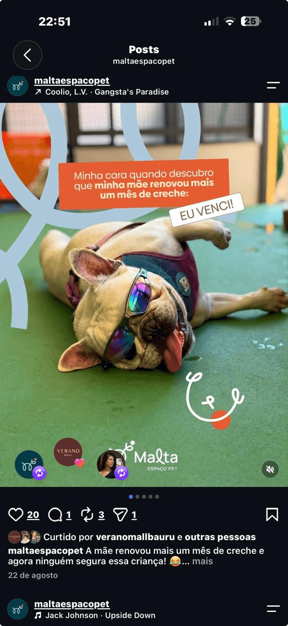Cão relaxando e se divertindo na creche da Malta